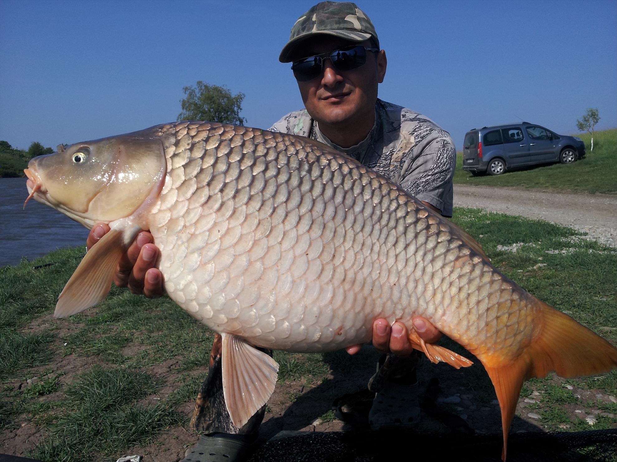 Moara Vlasiei - 20130506094610.jpg